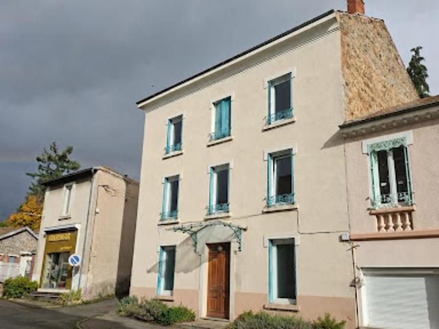 Vente Maison 9 pièces 221 m2 Panissières