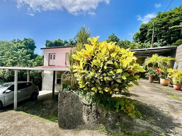 Vente Maison 9 pièces 239 m2 Le Morne Vert