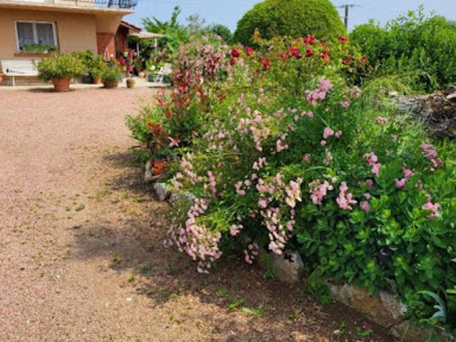 Vente Maison 9 pièces 230 m2 Montain