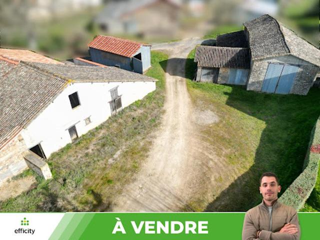 Vente Maison 9 pièces 245 m2 Celle Lévescault