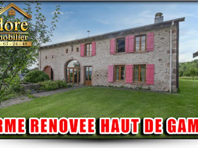 Vente Maison 9 pièces 292 m2 Gerardmer