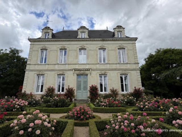 Vente Maison 9 pièces 301 m2 Chatellerault