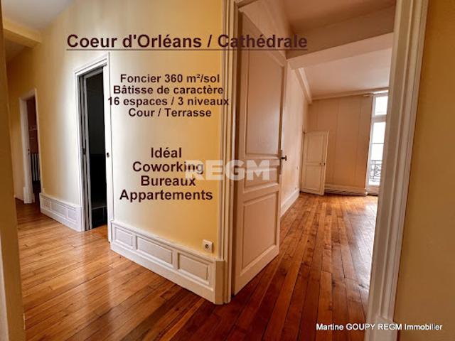 Vente Maison 9 pièces 341 m2 Orleans