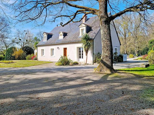 Vente maison 9 pièces Loire Authion 49