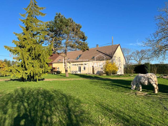 Vente maison 9 pièces Sées 61