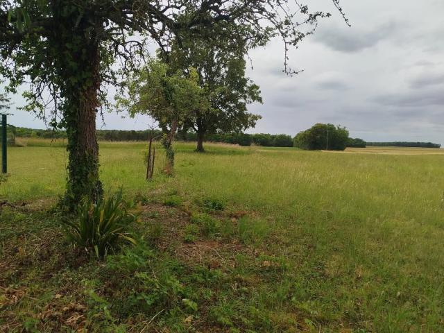 Vente Maison de campagne 4 pièces