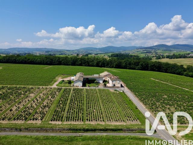 Vente Maison de campagne 8 pièces 185m² Arnas