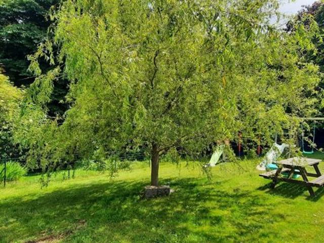 Vente Maison de campagne 9 pièces