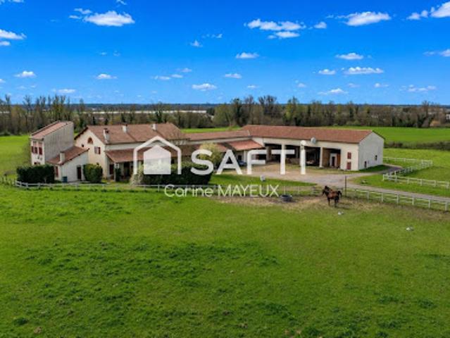 Vente Maison de maître 15 pièces 454 m2 Montauban