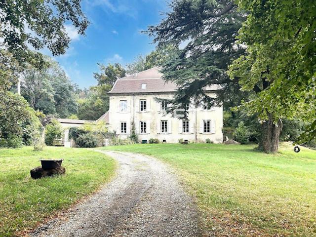 Vente Maison de maître 15 pièces 900 m2 Moras en Valloire