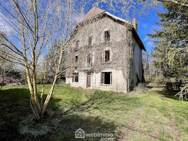 Vente Maison de maître 9 pièces 300 m2 Chattancourt