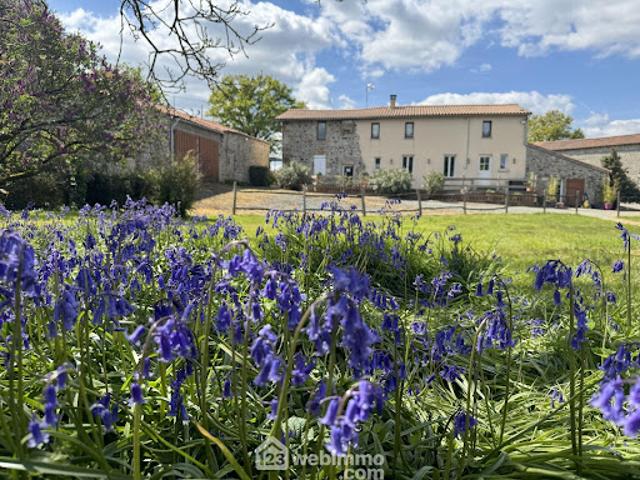 Vente Maison 12 pièces 370 m2 Sèvremont