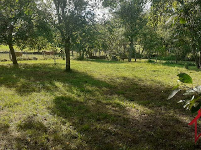 Vente Maison de ville 4 pièces 303 m2 Chalindrey