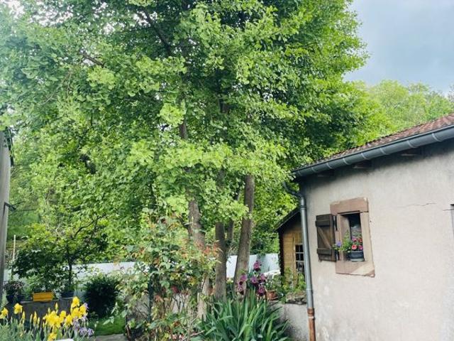 Vente Maison de ville 5 pièces