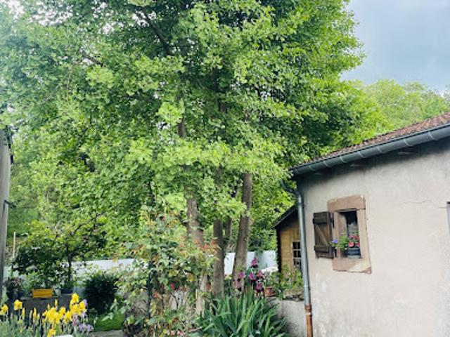 Vente Maison de ville 5 pièces 275 m2 Dieuze