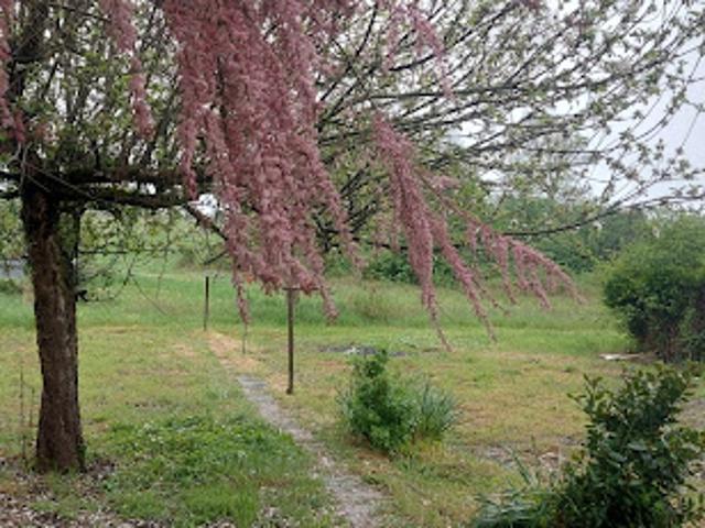 Vente Maison de ville 6 pièces 105 m2 Cunfin