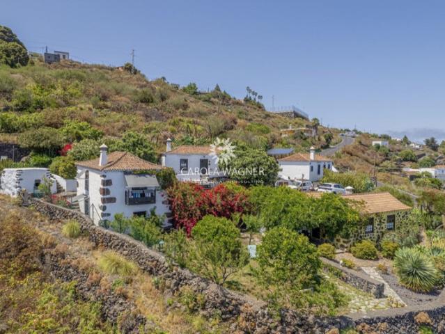 vente maison d'hôtes 8 Pièce s