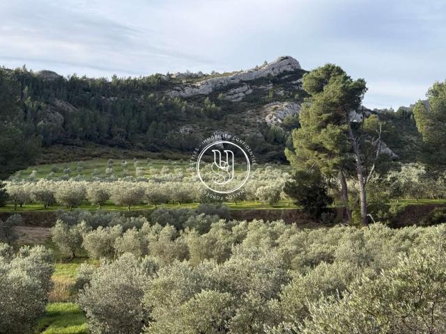 Vente maison Eygalières 13