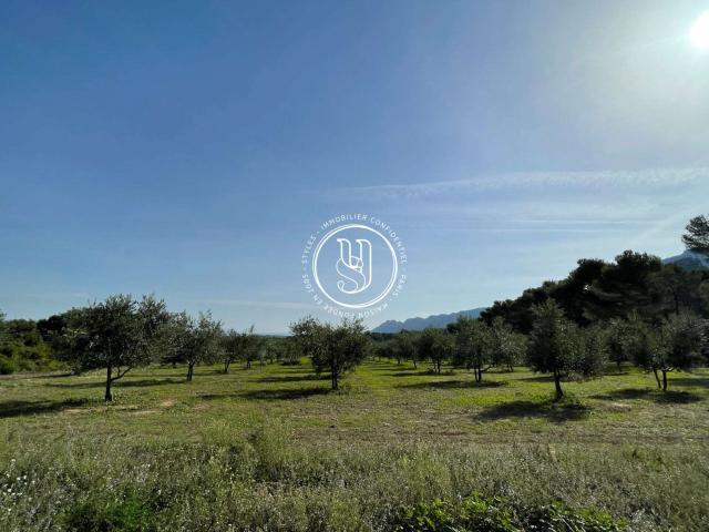 Vente maison Saint Rémy de Provence 13