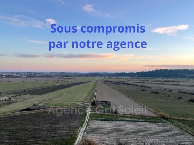 vente maison vigneronne 4 Pièce s