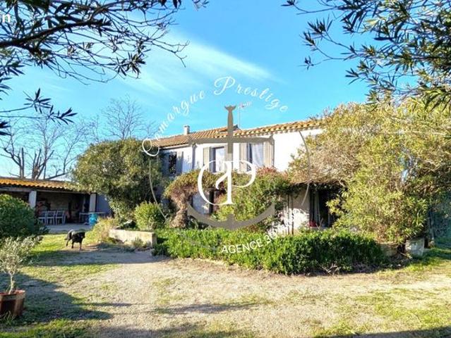 Vente | Mas | 10p | 6ch | 258 m² | Saintes Maries de la Mer | Terrasse · Jardin