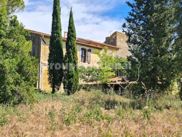 Vente Mas 20 pièces 1000 m2 Arles