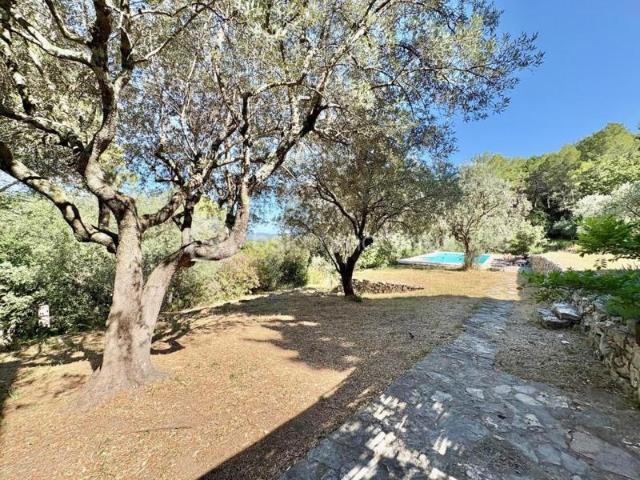 VENTE SEILLANS MAS AUTHENTIQUE AVEC VUE 8 HA