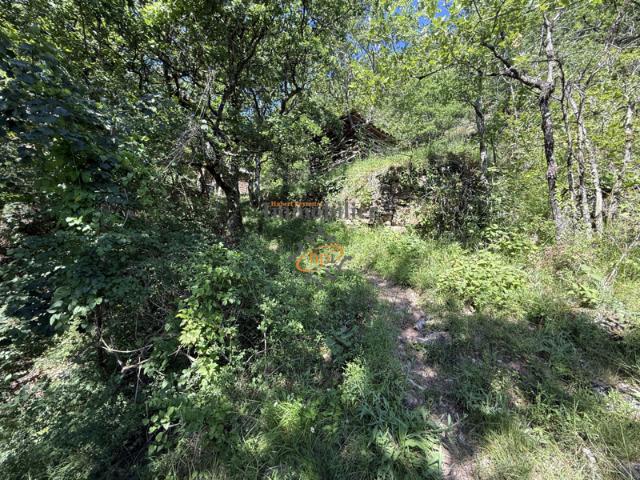 Vente Mazet Versols et Lapeyre, 1,25 hectares de terrains
