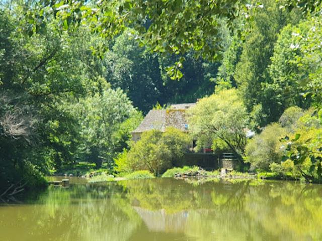 Vente Moulin 8 pièces 218 m2 Rignac