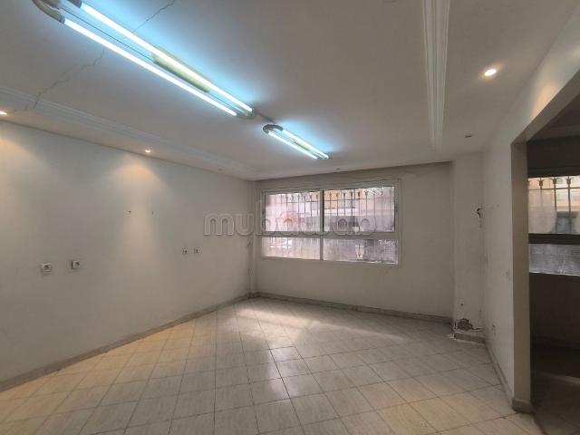 Vente Murs à racine
