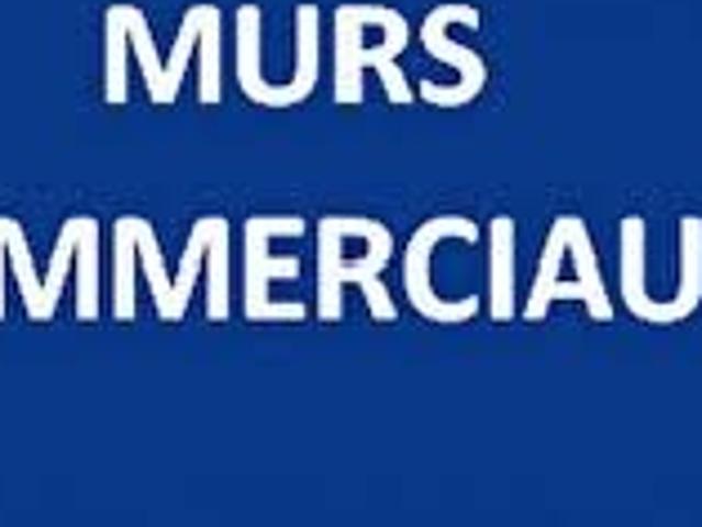 Vente Murs commerciaux 40 000 m²