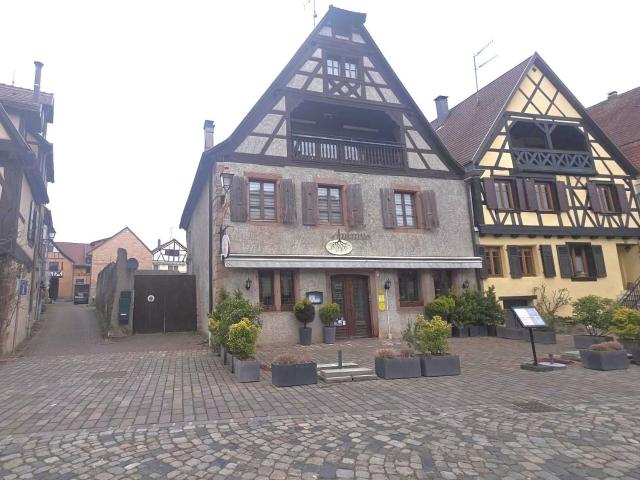 Vente murs pro à Bergheim