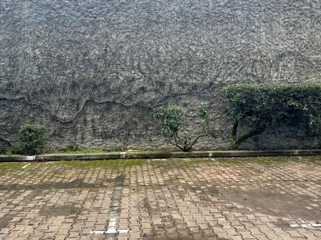 Vente Parking 11 m²