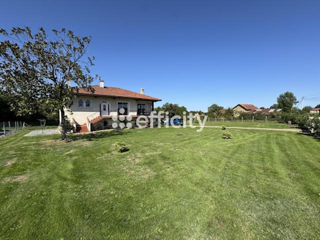 Vente Pavillon 9 pièces 190 m2 Lembeye