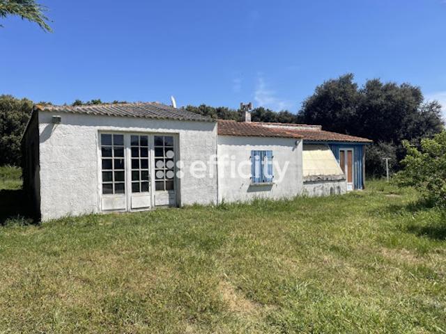 Vente Pavillon 3 pièces 79.5 m2 Dolus d'Oléron