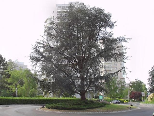 Vente Place de parking 37.5 m2 Marly le Roi