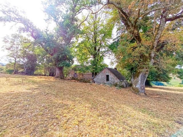 Vente Propriété 3 pièces 100 m2 Saint Martin Valmeroux