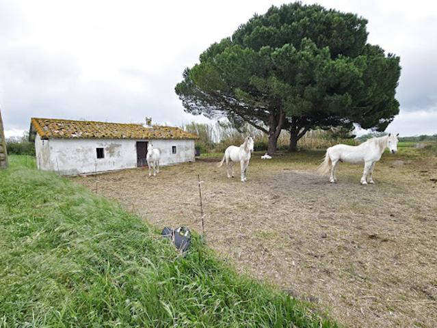 Vente Propriété 3 pièces 50 m2 Vauvert
