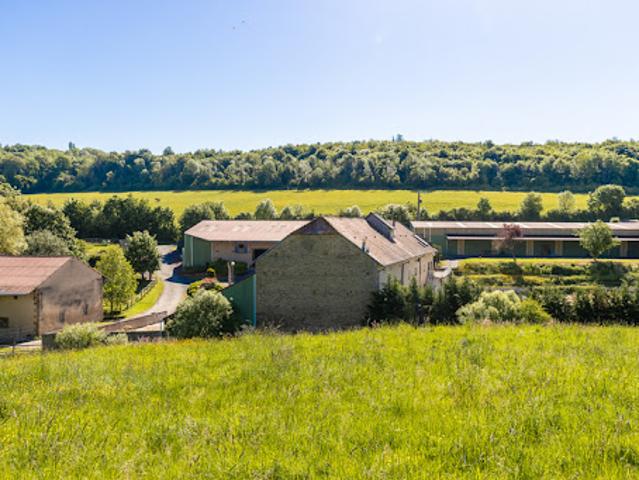 Vente Propriété 10 pièces 147 m2 Metz