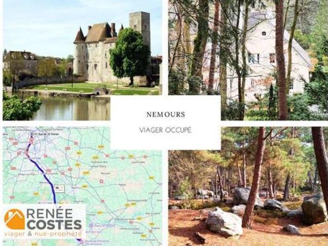 Vente Propriété 10 pièces 300 m2 Fontainebleau