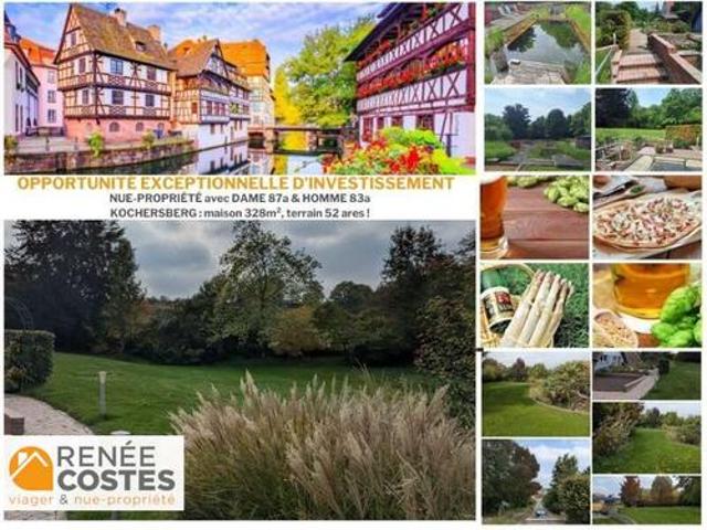 Vente Propriété 10 pièces 328 m2 Willgottheim