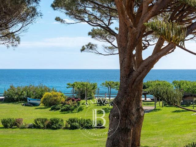 Vente Propriété 10 pièces 428 m2 Sisco