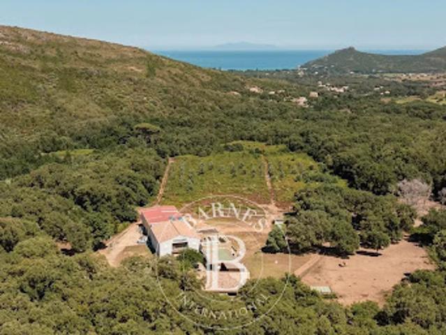 Vente Propriété 11 pièces 205 m2 Pietracorbara