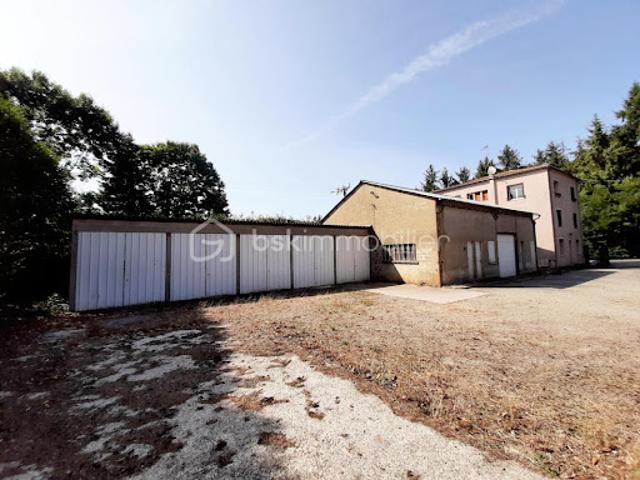 Vente Propriété 11 pièces 230 m2 Chabanais
