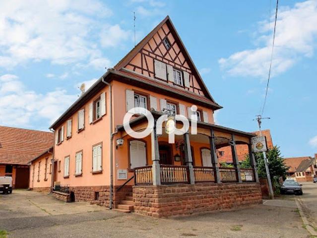 Vente Propriété 11 pièces 392 m2 Schillersdorf