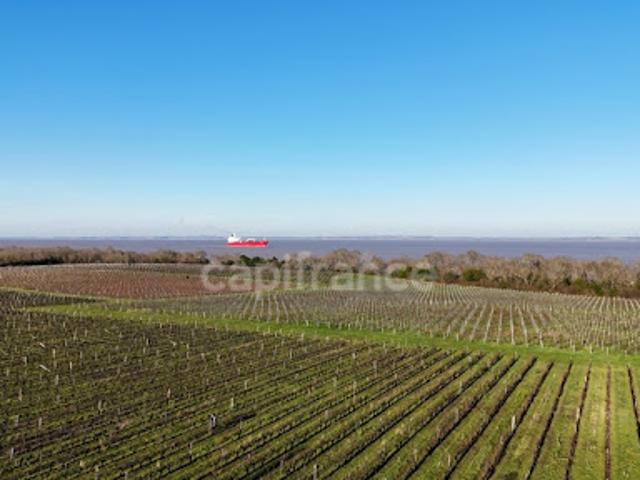 Vente Propriété 12 pièces 1357 m2 Saint Yzans de Médoc