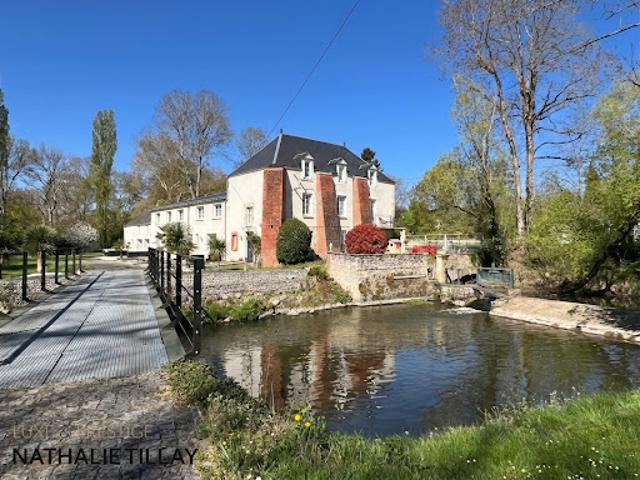 Vente Propriété 12 pièces 350 m2 Orleans