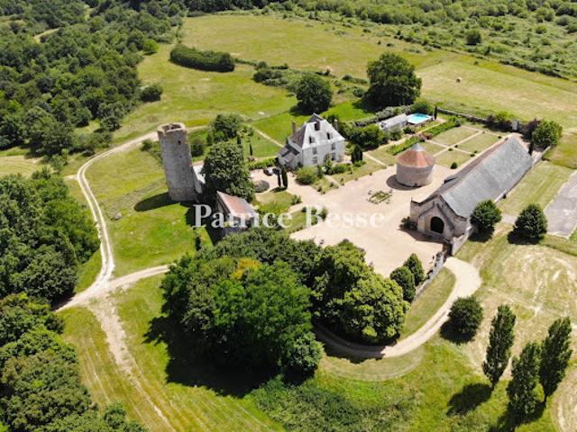 Vente Propriété 12 pièces 390 m2 Tours