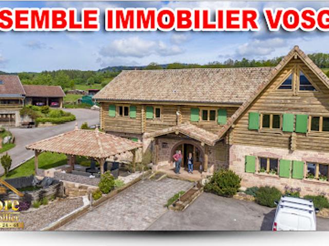 Vente Propriété 12 pièces 360 m2 Gerardmer