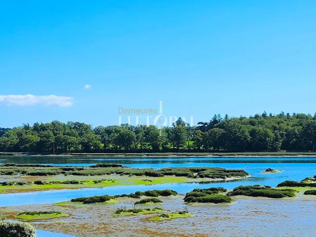 Vente Propriété 12 pièces 450 m2 Pluneret